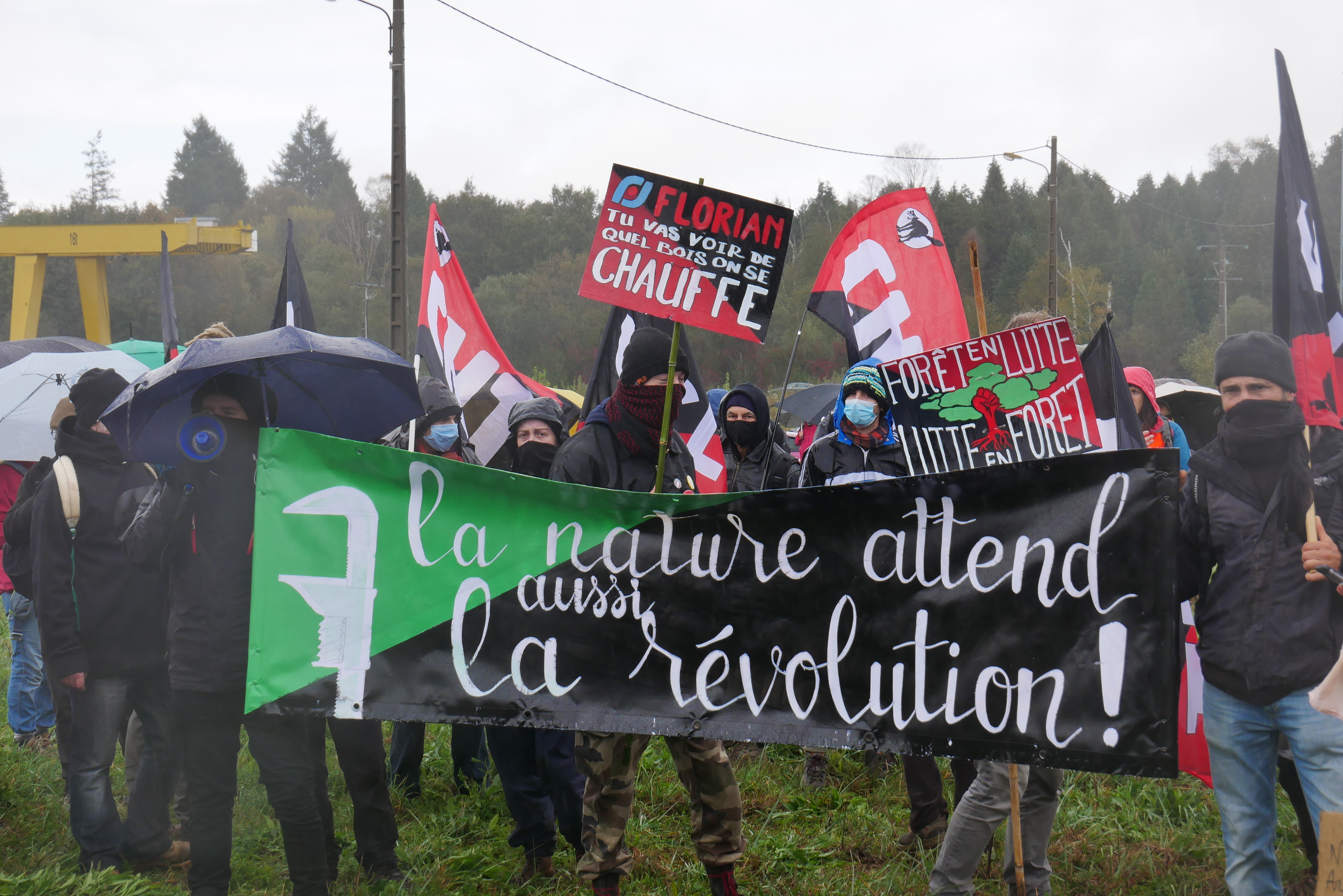 Dans les Pyrénées, des habitants mobilisés contre un projet de méga-scierie