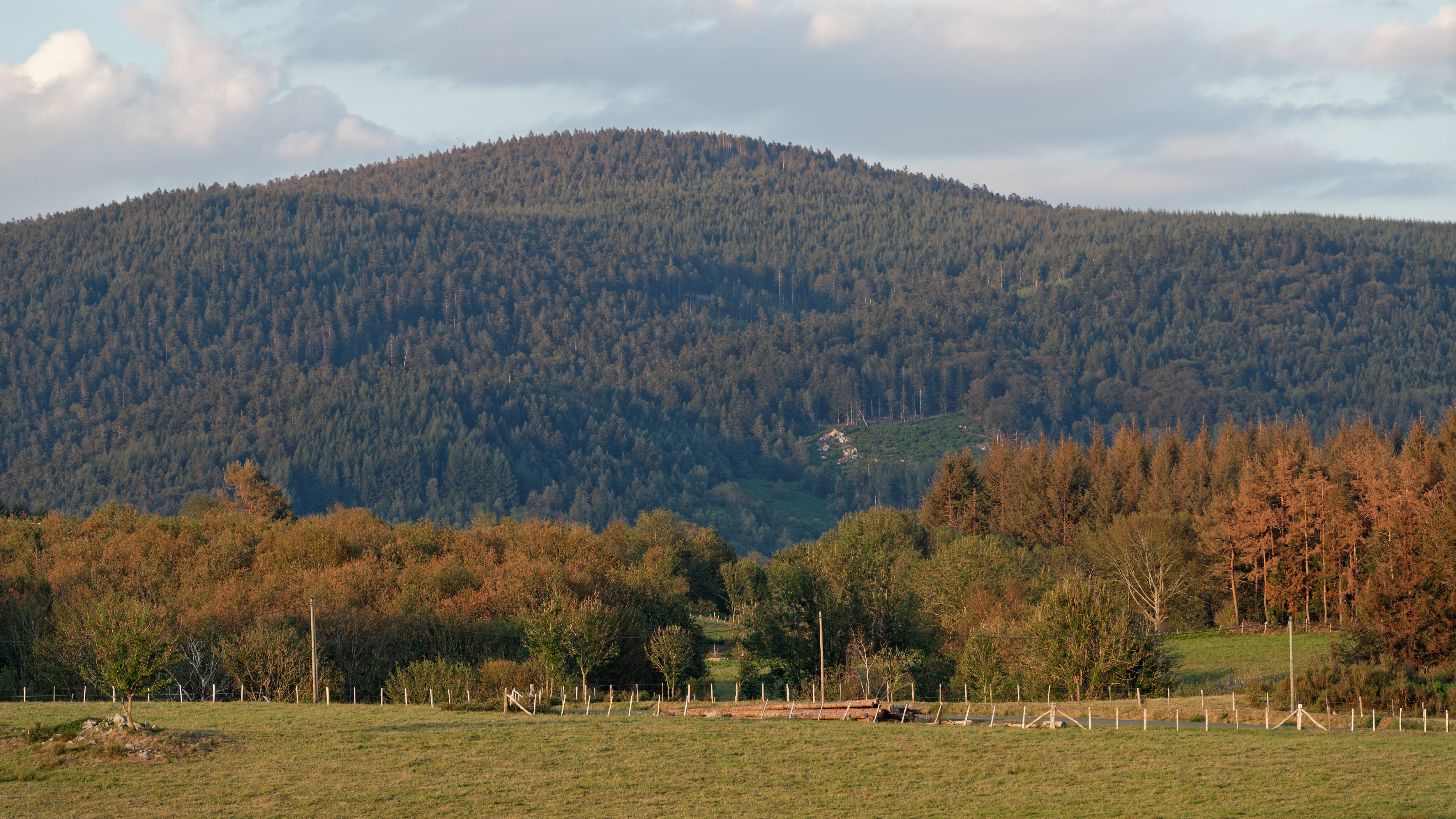 Déchets radioactifs dans le Massif Central : autour de l'ancienne mine d’uranium des Bois Noirs, un risque inacceptable